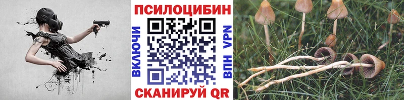 Галлюциногенные грибы Psilocybine cubensis  Алексин 
