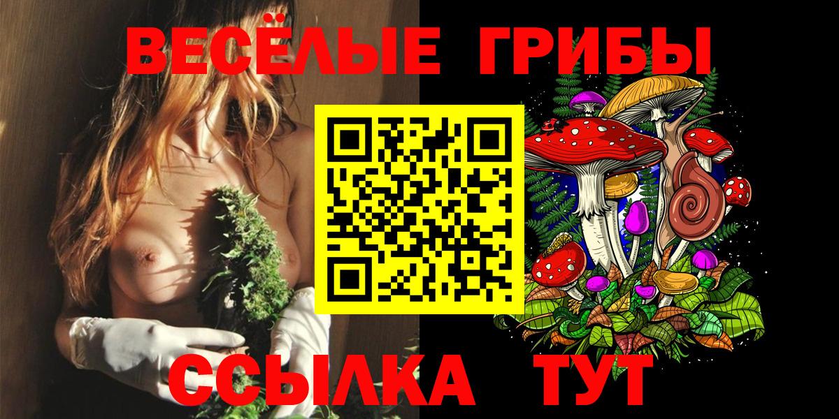 Галлюциногенные грибы Magic Shrooms  Псилоцибиновые грибы Psilocybine cubensis  магазин    Вход с VPN  Алексин 