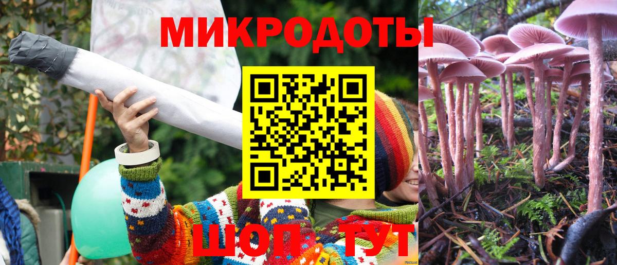 Псилоцибиновые грибы Psilocybe Алексин